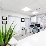 Reception desk area featuring white counter, large green aloe plant in foreground, stone accent wall, and bright professional office lighting